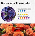 Load image into Gallery viewer, Florists' Color Wheel: A Guide to Floral Design Color Theory - FlowerBox