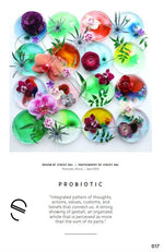 Load image into Gallery viewer, Impermanent - FlowerBox