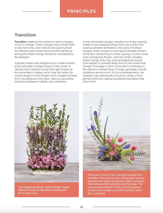 Flower Arranging - FlowerBox