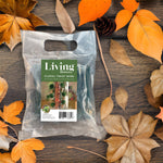 Load image into Gallery viewer, Green Floral Wire Twists - FlowerBox
