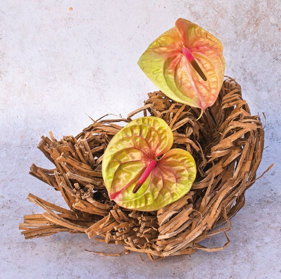 Simply Flower Arranging - A Step-by-Step Guide - FlowerBox