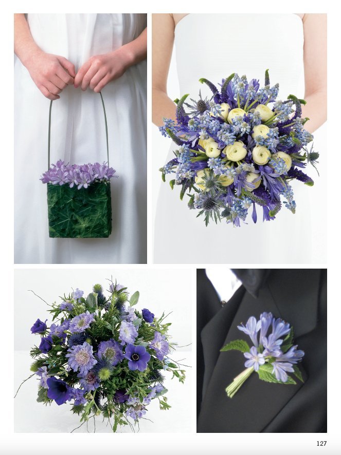Wedding Collections – WildFlower Media